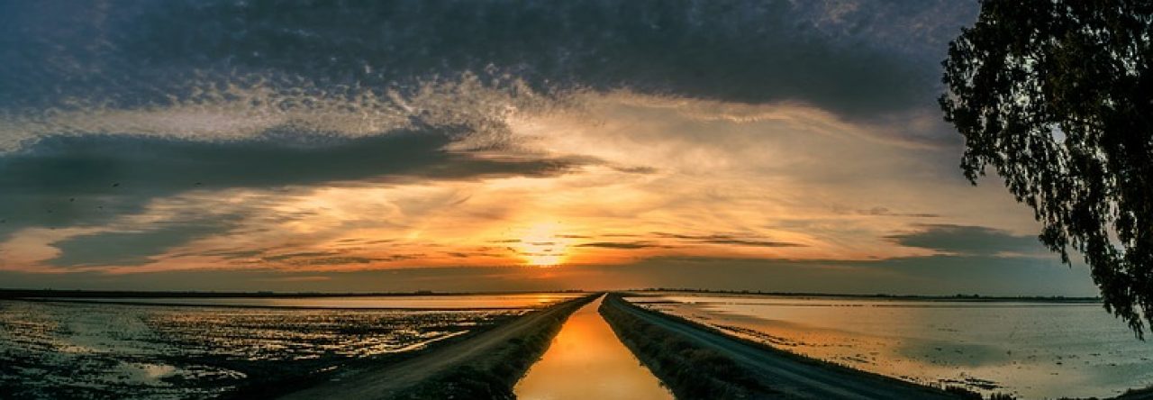 Amanecer del con aprendiz en la vida, con agua