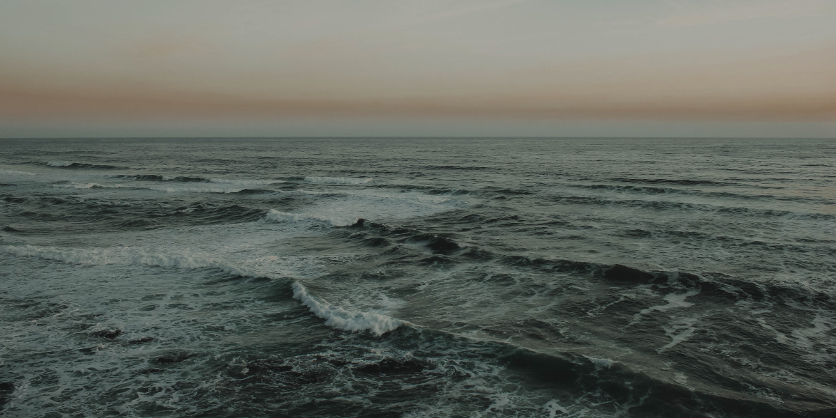 Es fácil creer que somos olas y olvidar que también somos el océano