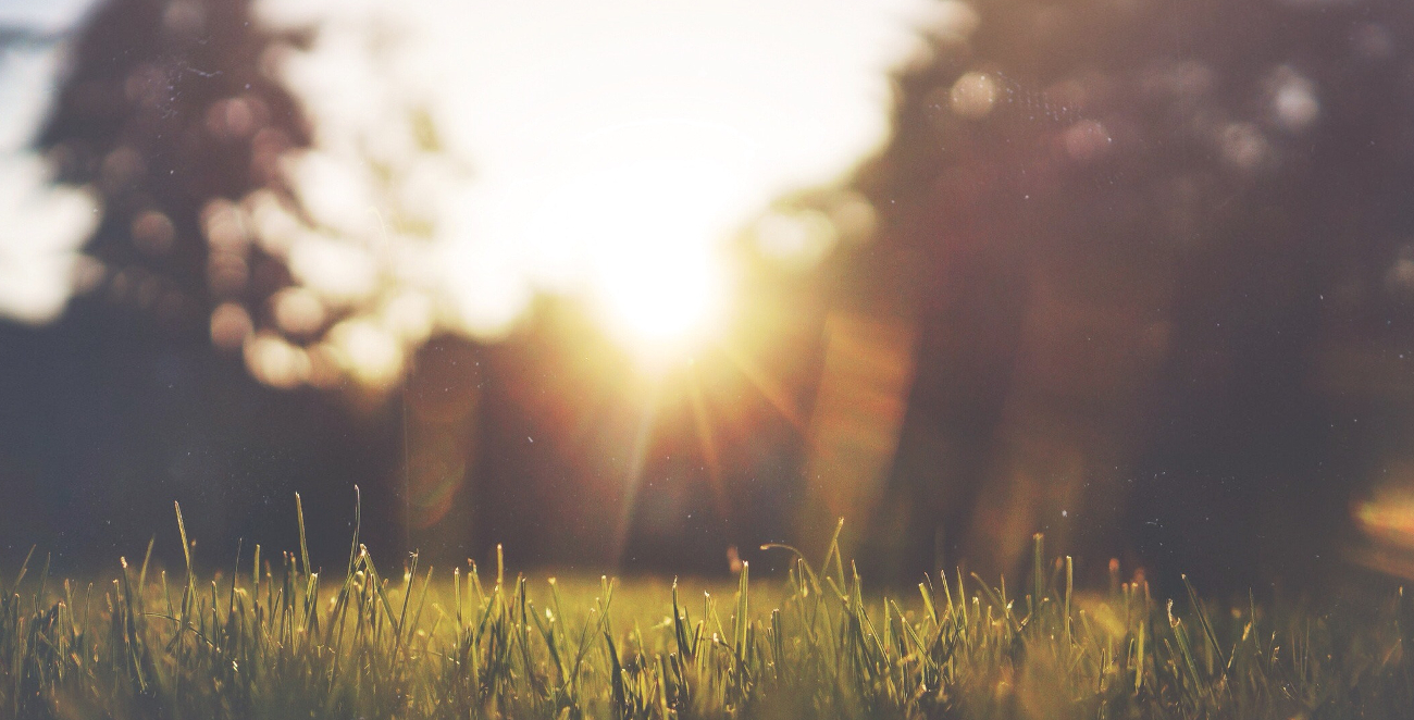 Empezar el día con Mindfulness