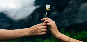 Cómo te cambia la gratitud a ti y a tu cerebro