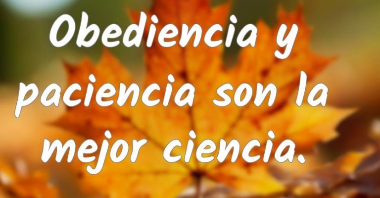 Significado de 【 Obediencia y paciencia son la mejor ciencia