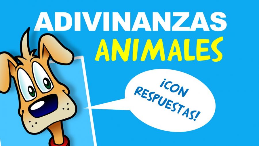 2019 Adivinanzas De Animales Con Respuestas Y Pistas