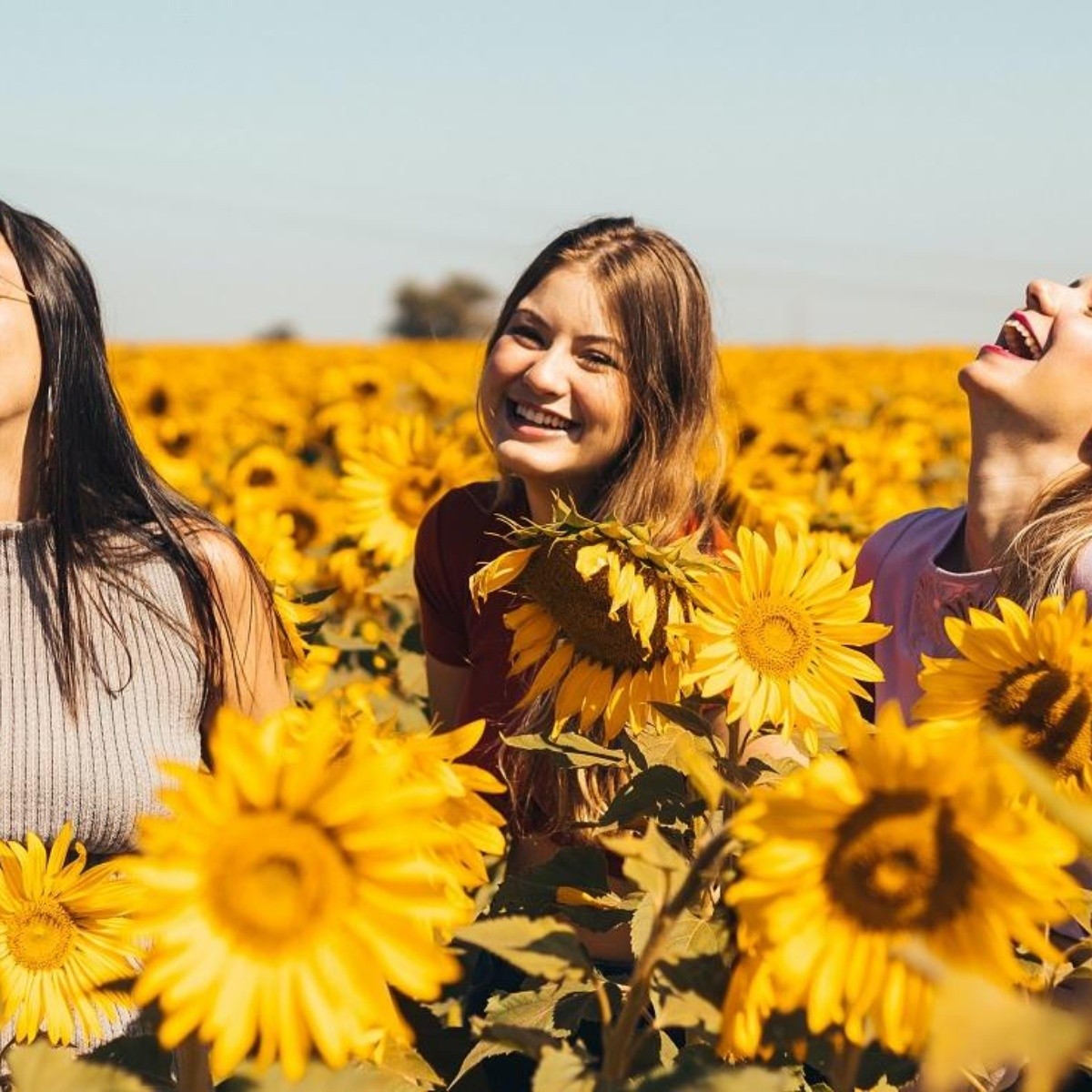 Mindfulness en la Vida Cotidiana