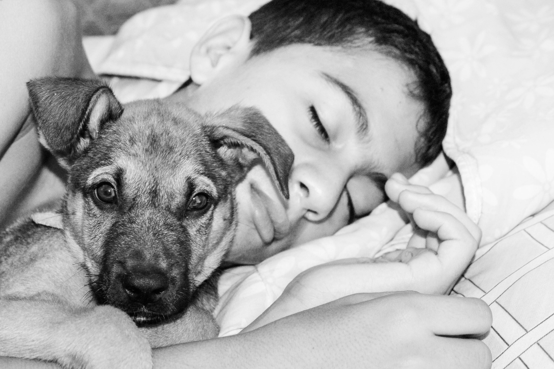 ¡Cuidado! Compartir cama con tu perro en invierno puede ser peligroso